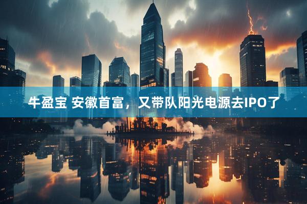 牛盈宝 安徽首富，又带队阳光电源去IPO了