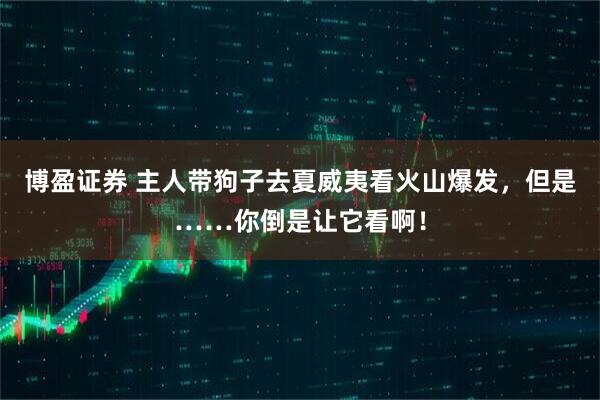 博盈证券 主人带狗子去夏威夷看火山爆发，但是……你倒是让它看啊！